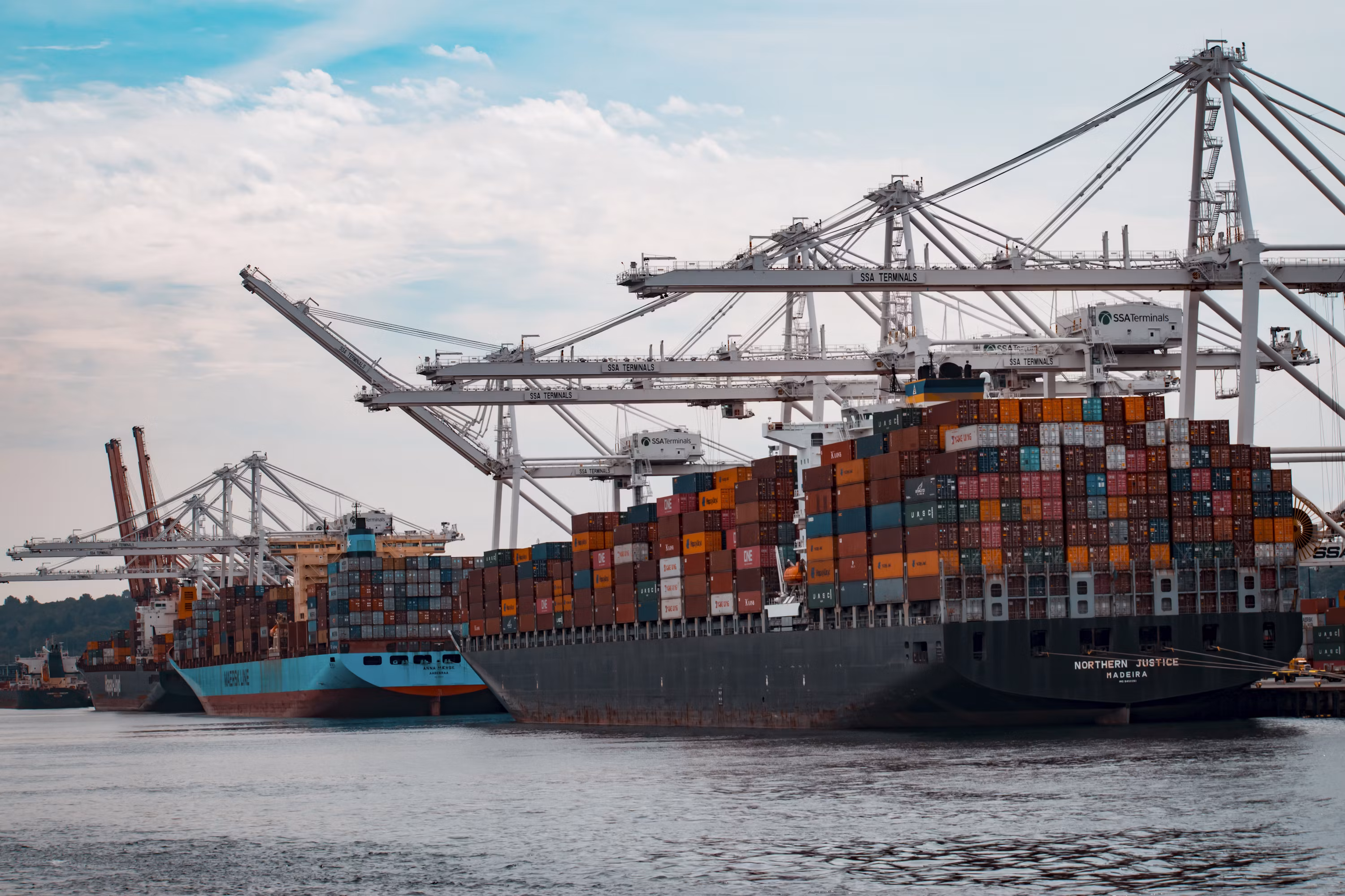 Export & Import